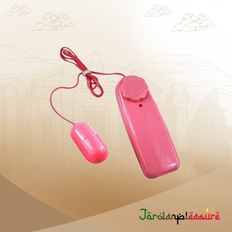 Bullet Vibrator 2 in 1 BV-008