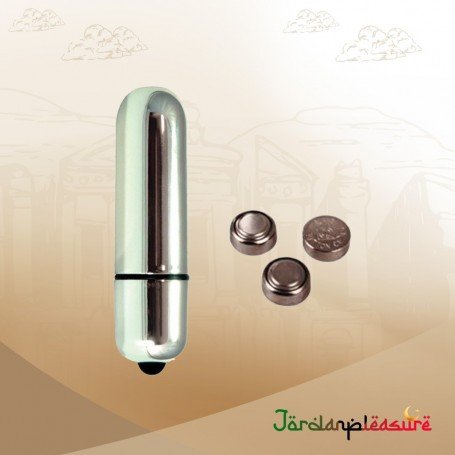 Rainbow 7 mode bullet vibrator BV-009