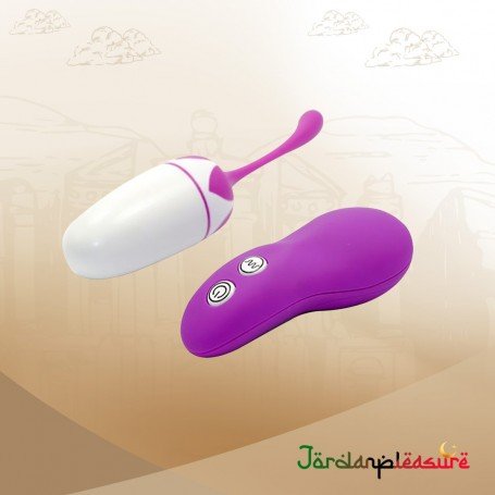 20 Modes Vibration Wireless Vibrating Egg for Female BV-010