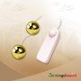 Multi Speed Golden Ben Wa Vibrating Balls Anal Vaginal BV-013