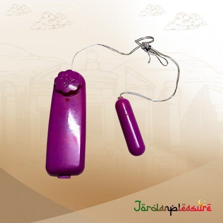 Personal Vibration Jump Egg Vibrating Bullet Massager BV-030