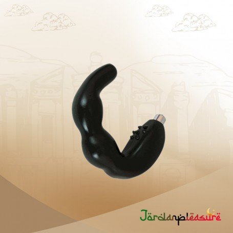 G-Spot Stimulation Vibrator Prostate Anal Massager AD-003
