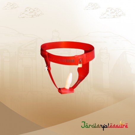 Chastity Lock Device for Women BDSM-002