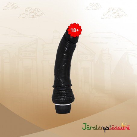Hot Black Boy Vibrator RSV-033