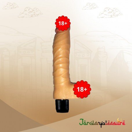 Realistic Penis with Vibrations And Real Feel Balls RSV-074