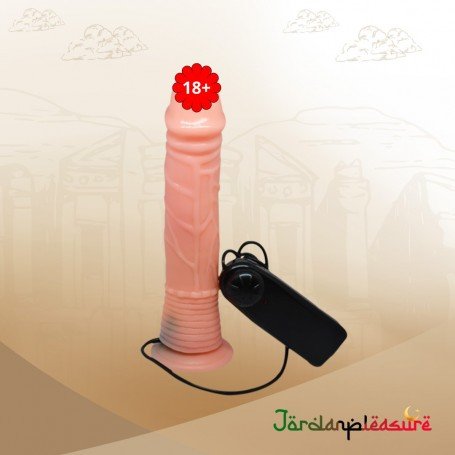 Hands-free Remote Controlled Penis Masturbator RSV-084