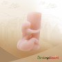 Transparent Male Masturbator For Men Penis Trainer Time Delayed Soft Vagina MMT-027